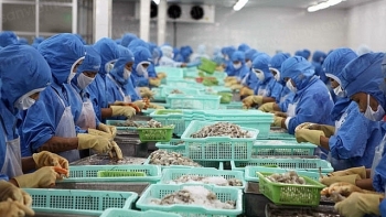 Chile – Thị trường mới nổi cho xuất khẩu tôm Việt Nam