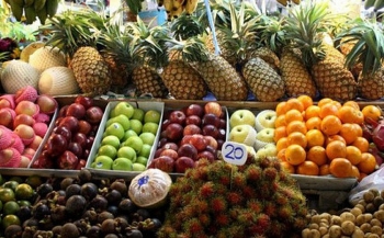 Xuất khẩu rau quả sang Thái Lan 4 tháng đầu năm tăng trưởng ấn tượng