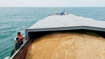 Bắt giữ tàu vận chuyển 200 tấn đường cát nhập lậu