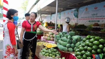17 tỉnh, thành phố tham gia tuần hàng trái cây, nông sản tại Hà Nội