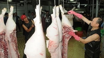 TP Hồ Chí Minh khuyến khích trữ đông thịt lợn khi nguồn cung thiếu hụt