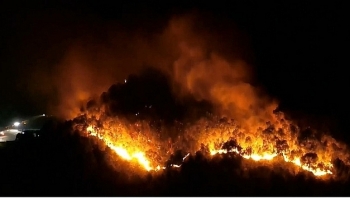 Cháy rừng ở Hà Tĩnh, người dân sơ tán lúc nửa đêm
