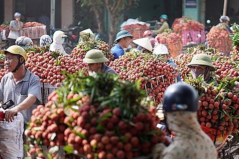 doanh thu vai thieu luc ngan tang cao chua tung co