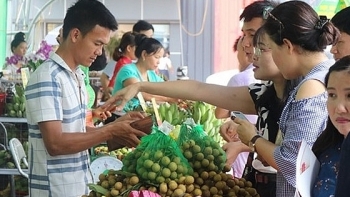Lần đầu tiên nhãn và nông sản sạch Sơn La được bán tại Hà Nội