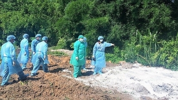 Tây Ninh công bố nhiễm dịch tả lợn châu Phi