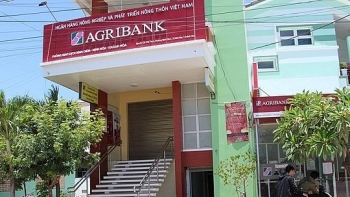 Khởi tố vụ án thất thoát tiền gửi tại phòng giao dịch Agribank Ninh Hòa