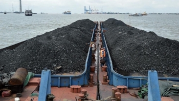 Cảnh sát biển tạm giữ tàu chở 2000 tấn bã xít