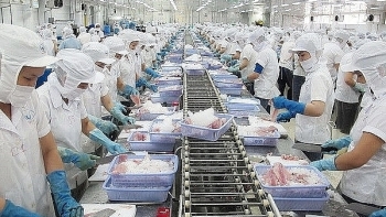 Nhật Bản tiếp tục là thị trường nhập khẩu mực, bạch tuộc lớn thứ 2 của Việt Nam