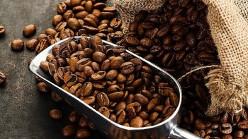 Cập nhật giá cà phê hôm nay 23/7: Giảm nửa triệu đồng mỗi tấn