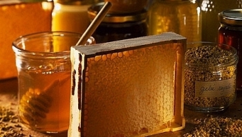Xuất khẩu mật ong: Sản lượng tỷ lệ nghịch với giá