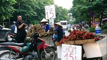 Hà Nội, nhãn và nhiều loại trái cây giảm giá mạnh
