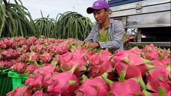 Tháo gỡ khó khăn cho nông sản Việt tại thị trường Trung Quốc