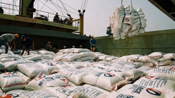 42 doanh nghiệp được cấp phép kinh doanh xuất khẩu gạo