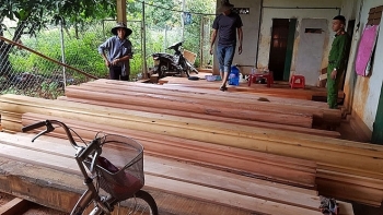 Đắk Lắk: Phát hiện thêm nhiều điểm tập kết gỗ lậu quy mô lớn