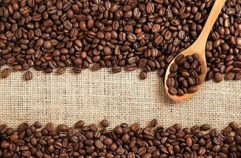 Giá cà phê hôm nay 5/9: Giá cà phê trong nước và quốc tế đều giảm