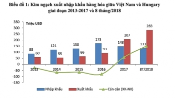 Xuất nhập khẩu song phương Việt Nam – Hungary tăng mạnh