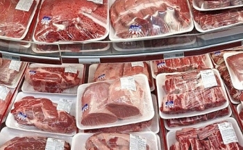 Hải quan thắt chặt cửa khẩu ngăn chặn dịch tả lợn châu Phi