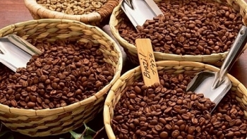 Giá cà phê hôm nay 17/9: Giá cà phê nguyên liệu tiếp tục giảm