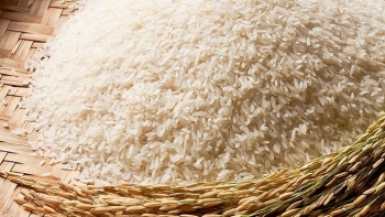 Iran mong muốn nhập khẩu gạo và cao su Việt Nam