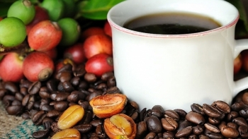 Giá cà phê hôm nay 29/9: Tăng mạnh 700 đồng/kg