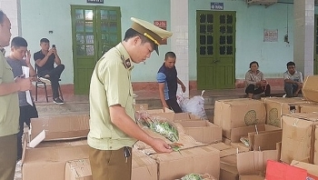Thu giữ gần 600kg bánh kẹo Trung Quốc nhập lậu