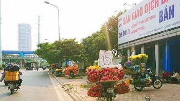Thanh long hạ giá tràn ngập đường phố Hà Nội, cần thay đổi phương thức sản xuất