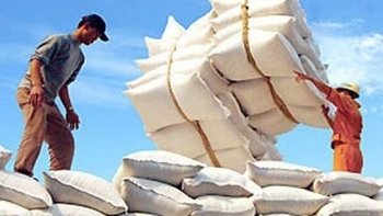 Gạo Việt xuất khẩu được giá nhất từ trước tới nay