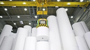 Nhu cầu tăng cao, mỗi năm Việt Nam nhập khẩu 2 triệu tấn giấy