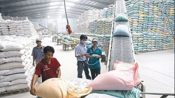 Hướng đi mới cho DN xuất khẩu gạo