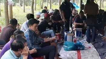Quảng Nam: Khởi tố 12 bị can đánh bạc ở rừng cao su
