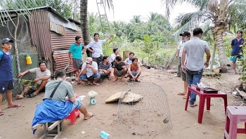 Tiền Giang: Triệt phá tụ điểm đá gà do người dân trình báo