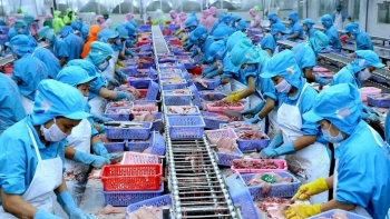 638 doanh nghiệp Việt Nam được phép xuất khẩu thủy sản sang Đài Loan