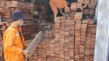 Hải Phòng: Bắt giữ số lượng lớn gỗ quý nhập lậu
