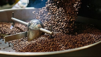 Giá cà phê hôm nay 15/10: Tăng 300 đồng/kg