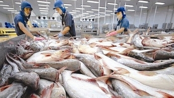 Xuất khẩu cá tra sang Brazil vẫn ở mức tăng trưởng âm