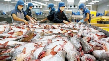 Công bố mức thuế sơ bộ chống bán phá giá cá tra lần thứ 15 xuất khẩu sang Mỹ