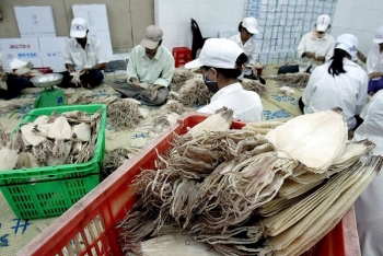 Nga - Thị trường điểm sáng trong xuất khẩu mực, bạch tuộc