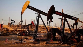Giá xăng dầu hôm nay 24/11: Quay đầu lao dốc