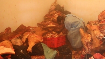 Bình Phước: Triệt phá cơ sở kinh doanh thịt nhiễm dịch tả lợn châu Phi