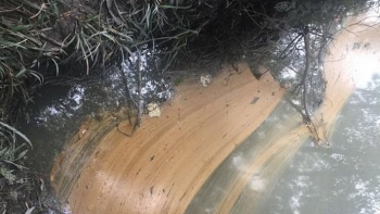 Quảng Trị: Phát hiện trạm trộn bê tông nhựa để tràn 200 lít dầu thải ra môi trường
