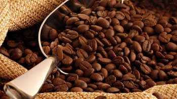 Giá cà phê hôm nay 11/11: Cao nhất ở mức 37.000 đồng/kg