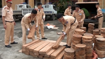 Lào Cai: Bắt xe tải chở lậu gần 300 thớt gỗ nghiến