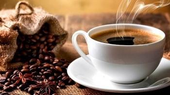 Cập nhật giá cà phê hôm nay 18/11: Cao nhất ở mức 33.800 đồng/kg