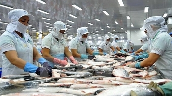 Xuất khẩu cá tra Việt Nam 10 tháng đầu năm đạt 1,64 tỷ USD