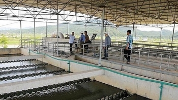 Nghệ An: Xử phạt 3 nhà máy cung cấp nước sạch vì nhiễm khuẩn