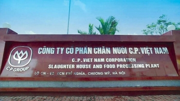 Ghi chênh giá tiền mua heo, nhân viên CP Việt Nam chiếm đoạt tiền tỷ