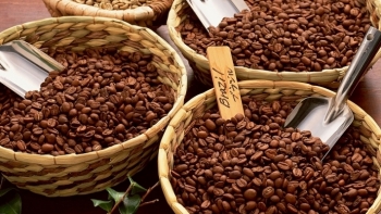Giá cà phê hôm nay 31/12: Tăng 400 đồng/kg, khép lại năm 2018