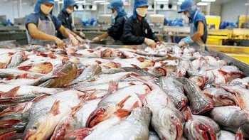 Xuất khẩu cá tra sang Nga giảm 30,9%