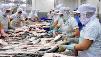 Thị trường Colombia chưa hấp dẫn với cá tra Việt Nam