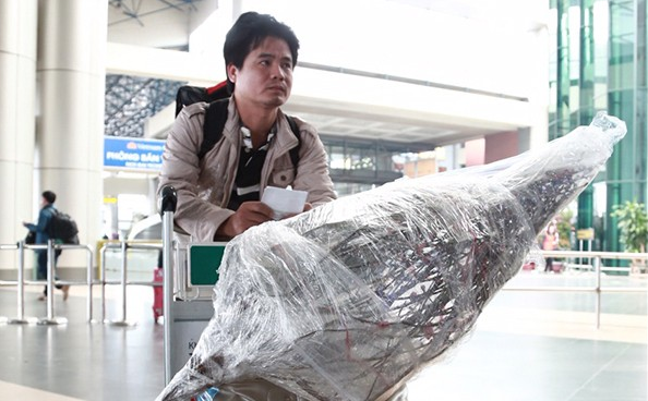 vietnam airlines tang gia van chuyen dao mai dip tet